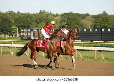 SARATOGA SPRINGS - September 1: Kent Desormeaux Aboard Break Water Edison In The Post Parade For The Hopeful Stakes On September 1, 2008 In Saratoga Springs, NY.