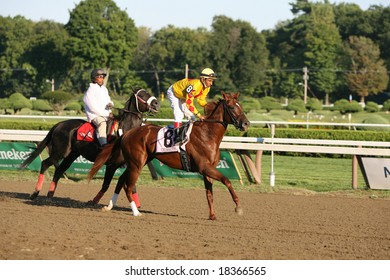 SARATOGA SPRINGS - September 1: Rajiv Maragh Aboard Cribnote In The Post Parade For The Hopeful Stakes On September 1, 2008 In Saratoga Springs, NY.