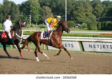 SARATOGA SPRINGS - September 1: Rajiv Maragh Aboard Cribnote In The Post Parade For The Hopeful Stakes On September 1, 2008 In Saratoga Springs, NY.