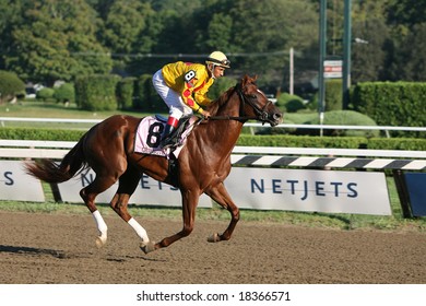 SARATOGA SPRINGS - September 1: Rajiv Maragh Aboard Cribnote In The Post Parade For The Hopeful Stakes On September 1, 2008 In Saratoga Springs, NY.