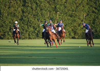 SARATOGA SPRINGS - SEPTEMBER 4 :  Shamrock and Bloomfield players charge up the field at Saratoga Polo Club September 4, 2009 in Saratoga Springs, NY.