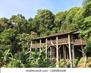 Sarawak Long House