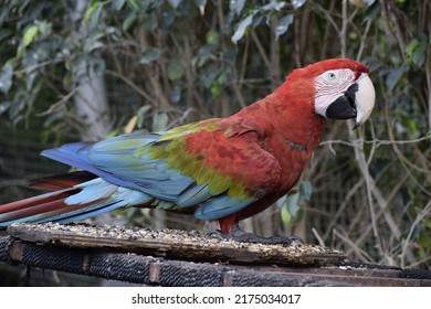 Sardar Patel Zoological Park, Kevadiya - Shutterstock ID 2175034017