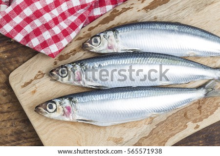 Sardine
