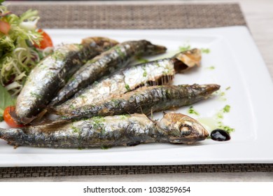 Sardine Fish, Majorca, Spain