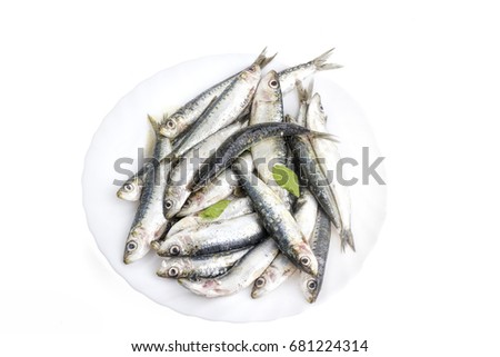 Sardines