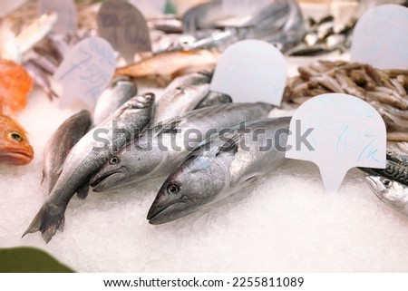 Sardines fish market. Greek fish Sardela. Mediterranean small silvery fishes. Fresh seafood. 