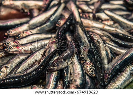 Similar – Image, Stock Photo show teeth Food Fish