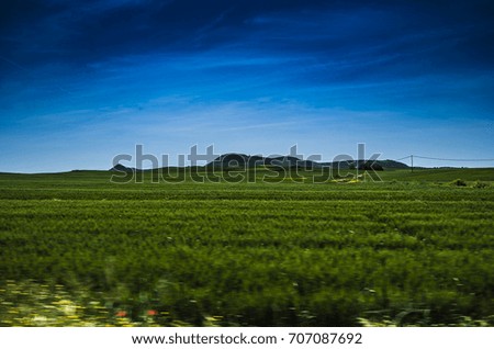 Similar – in Südafrika Naturreservat Teichsee und Busch