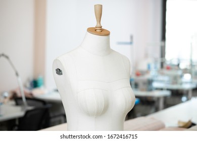 Sartorial Mannequin Sewing Atelier Stock Photo 1672416715 | Shutterstock