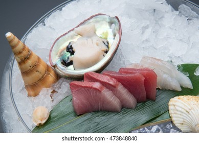 Sashimi Platter On Ice, Yellow Tail, Tuna, Sea Bass, Abalone