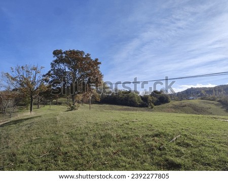 Sasso Marconi, Italy- November 19th 2023: trekking in the park of 