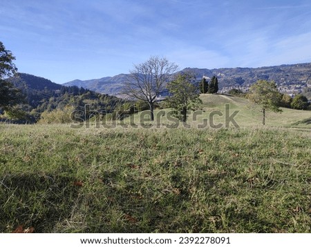 Sasso Marconi, Italy- November 19th 2023: trekking in the park of 