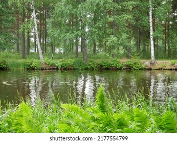 Sastamala, Finland - July 9 2022: Documentary Of Everyday Life And Place. A Beautiful Natural Landscape In The Center Of The City.