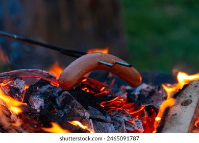 Sasusage in a campfire - outdoor - Powered by Shutterstock