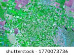 Satellite images in false-color compositions showing crops between the ash and wood boundaries California USA.