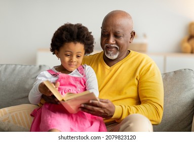 Satisfied black little kid and elderly man reading book with fairy tales on sofa in living room interior. Homework, elderly grandfather and cute granddaughter read story together and have fun at home - Powered by Shutterstock