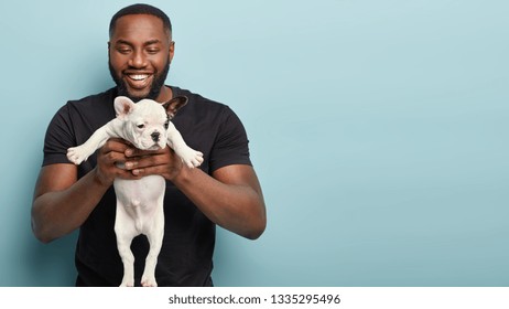 Satisfied Dog Groomer Carries Little Puppy, Did Nail Clipping And Hygienic Procedures For French Bulldog, Wears Black T Shirt, Demonstrates How It Looks, Isolated Over Blue Studio Wall With Free Space