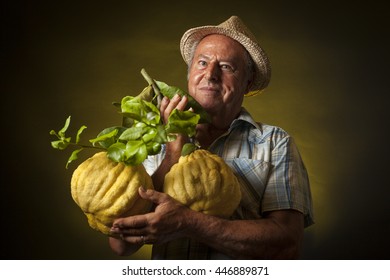 Satisfied Farmer Keep In His Hands Two Giant Cedars Fruit. Studio Portrait, Yellow And Black Background