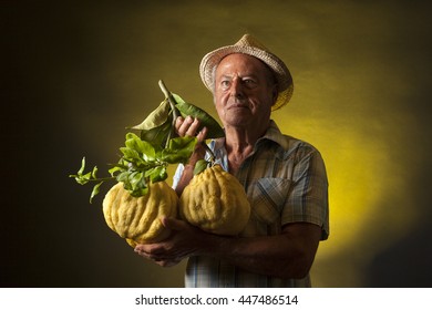 Satisfied Farmer Keep In His Hands Two Giant Cedars Fruit. Studio Portrait, Yellow And Black Background