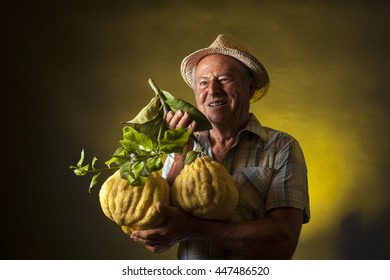 Satisfied Farmer Keep In His Hands Two Giant Cedars Fruit. Studio Portrait, Yellow And Black Background