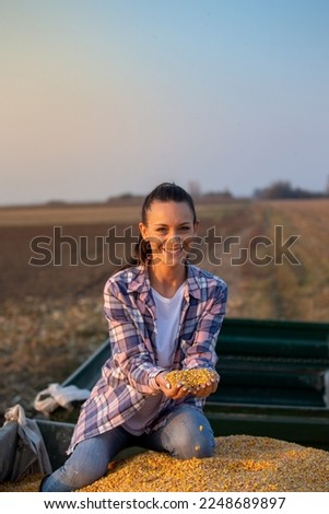 Satisfied farmer woman holding corn seeds in palms while sitting in tractor trailer on pile of crop during harvest