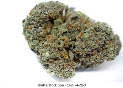 Sativa Indica Hybrid Flower Cannabis 