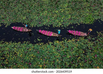 Satla is a village in Uzirpur upazila of Barisal city in Bangladesh. It would be wrong to call it the capital of Water lilies.Photo taken From Barisal Bangladesh on August 14, 2021