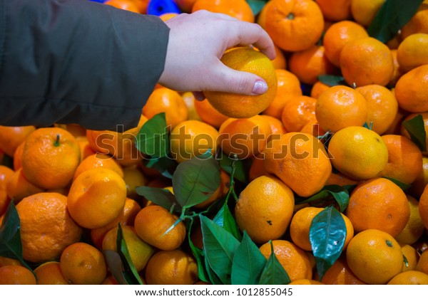 Satsuma Mandarin Woman Buying Tangerine Market Stock Photo Edit Now 1012855045