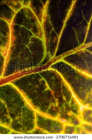 Saturated, vertical texture featuring the vibrant, illuminated pathways of plant life. A dynamic background for themes of connectivity, health, and organic power.