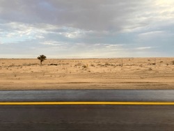 Saudi Arabian Desert After A Light Rain, On The Road From Jubail To Kuwait