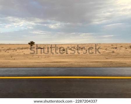 Saudi Arabian desert after a light rain, on the road from jubail to Kuwait