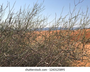 The Saudi Desert In The Hail Region