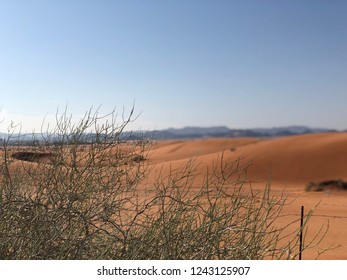 The Saudi Desert In The Hail Region