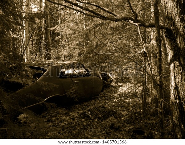 Sault ste. Marie, ON, CA. May 13, 2015\
Remnants\
of old car in the trees.