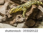 saurian