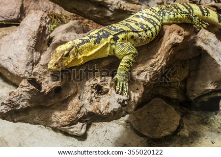 saurian