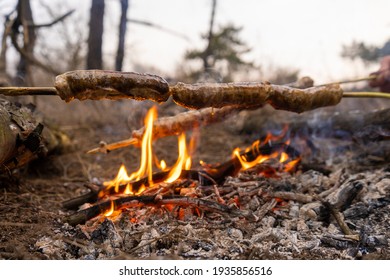 sausages-fried-stake-survival-wilderness-260nw-1935856516.jpg