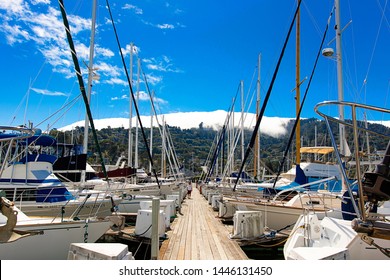 sausalito yacht harbor