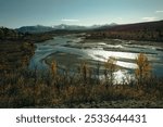 Savage River Loop Trail, Denali National Park, Alaska. High quality photo