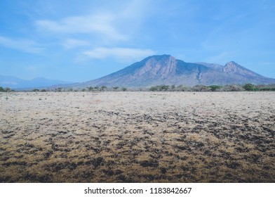 Savana Baluran At Situbondo