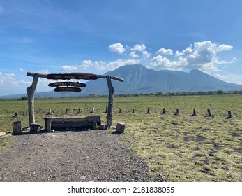 Savana Bekol At Baluran National Park