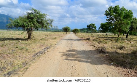 Savana Bekol Baluran National Park