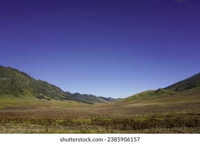 Savana in Bromo East Java