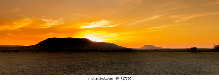 Savana Sunset