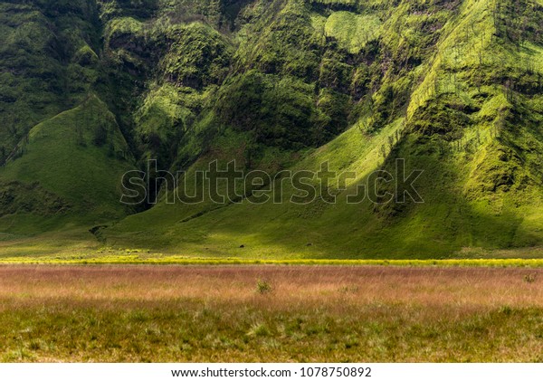 Savanna field with\
mountain