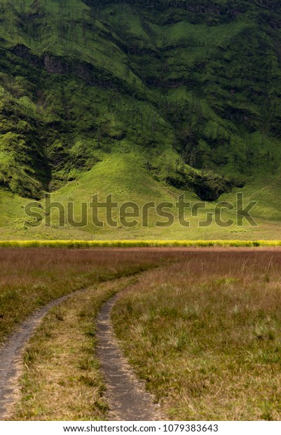 Savanna field with\
mountain