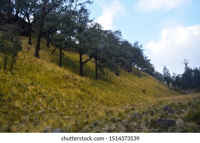 Savanna Hill In Gunung Lawu, Indonesia