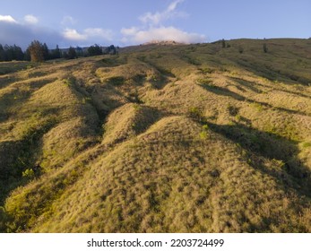 Savanna Landscape In Mount Tambora Sumbawa Indonesia