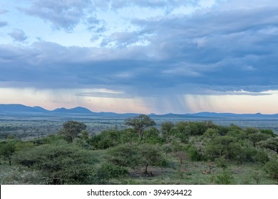 Savanna plain at dawn against storm cloud sky background. Serengeti National Park, Tanzania, Africa. 

